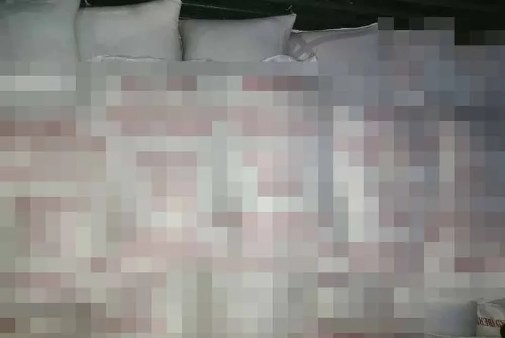 Hasil pemeriksaan menemui 670 guni beras putih Thailand dengan setiap guni seberat 50 kilogram, menjadikan jumlah keseluruhan 33.5 tan. Foto Briged Utara PGA