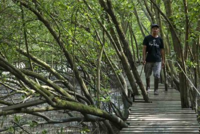 Saintis menegaskan kepentingan memulihara tanah lembap kerana ia amat penting dari segi ekologi dan ekonomi. Gambar hiasan