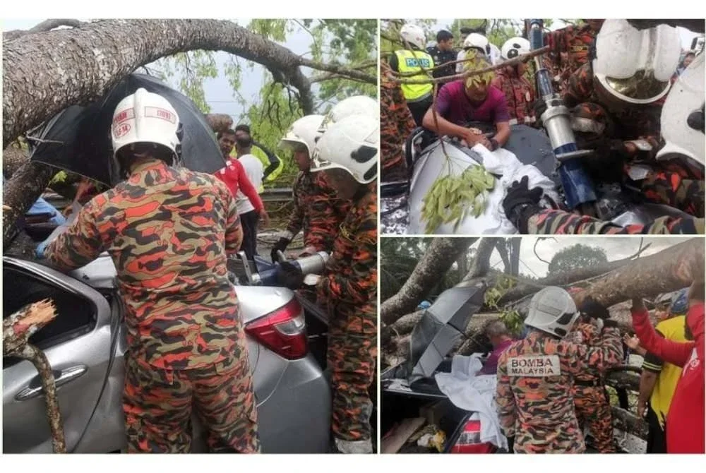 Anggota bomba melakukan pemotongan dahan dan batang pokok yang menimpa kenderaan terbabit untuk mengeluarkan suami isteri yang masing-masing berusia 37 dan 31 tahun itu. Foto JBPM Perak