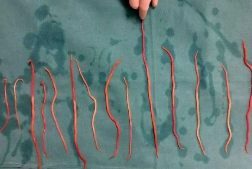 Keadaan Raya turut menarik perhatian Gabenor Jawa Barat. Foto Agensi