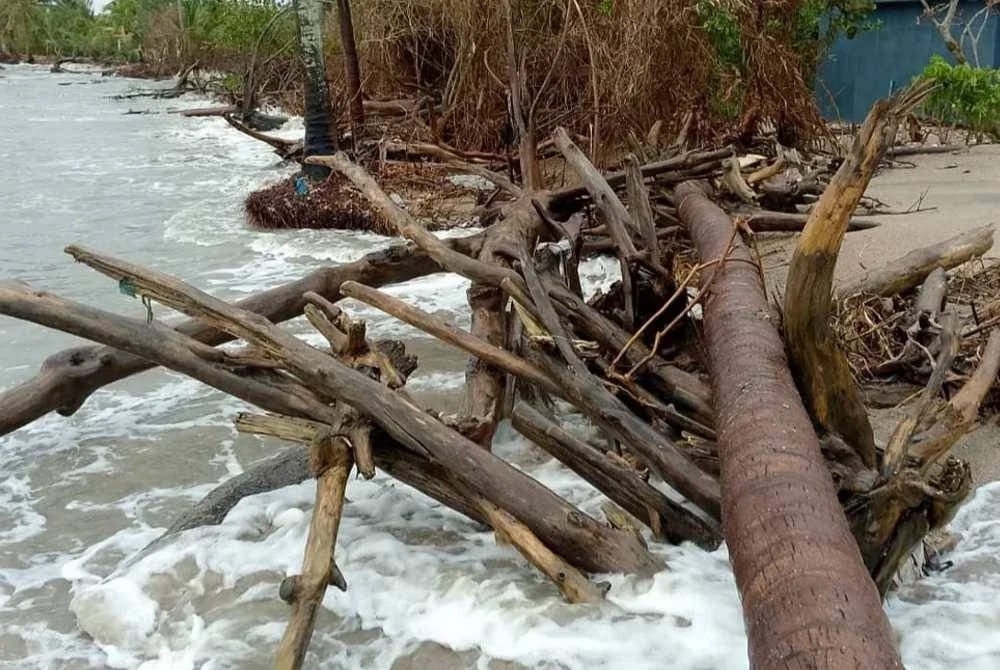 Ombak besar turut membawa sisa ranting dan kayu ke rumah penduduk.