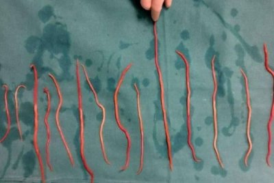 Keadaan Raya turut menarik perhatian Gabenor Jawa Barat. Foto Agensi