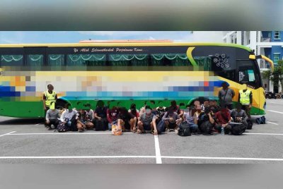Dalam serbuan kira-kira jam 6.30 pagi itu, pemandu bas berusia 37 tahun ditahan bersama 34 lelaki dan dua wanita warganegara Myanmar.
Foto: PGA
