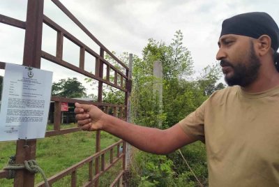Nashender Singh melihat notis pengosongan tanah yang diletakkan di pagar kandang kerbaunya.