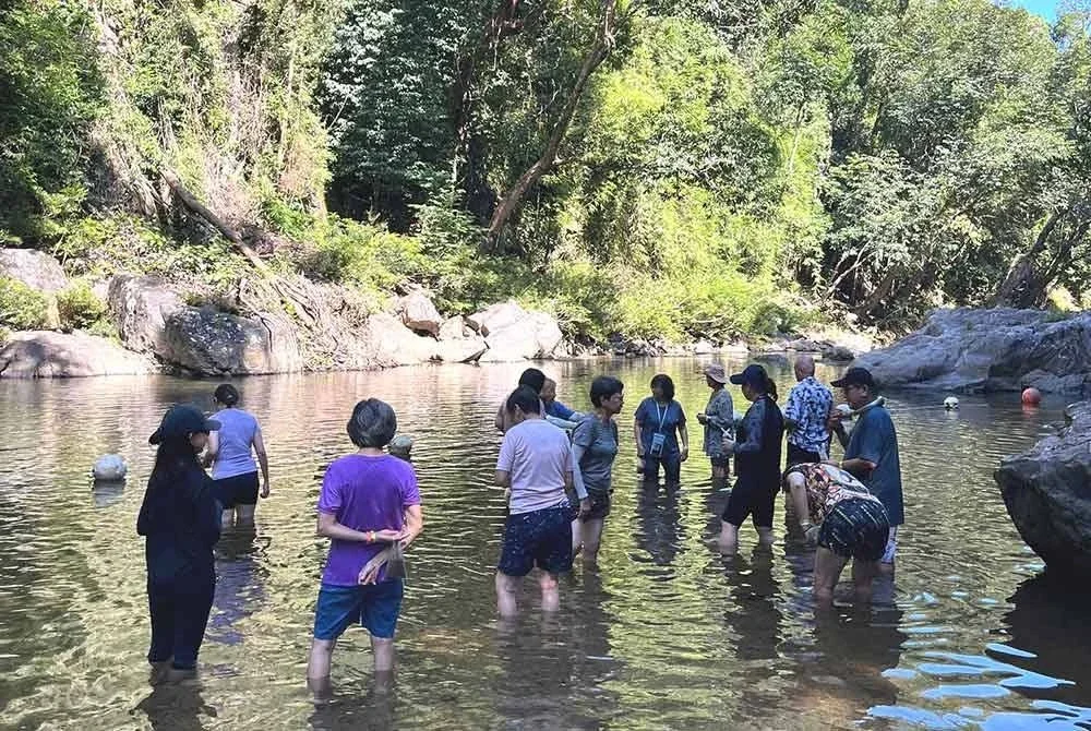 Pengunjung yang melawat Santuari Kelah, Tasik Kenyir di Hulu Terengganu kecewa apabila tiada seekor pun ikan kelah kelihatan seperti kebiasaan.