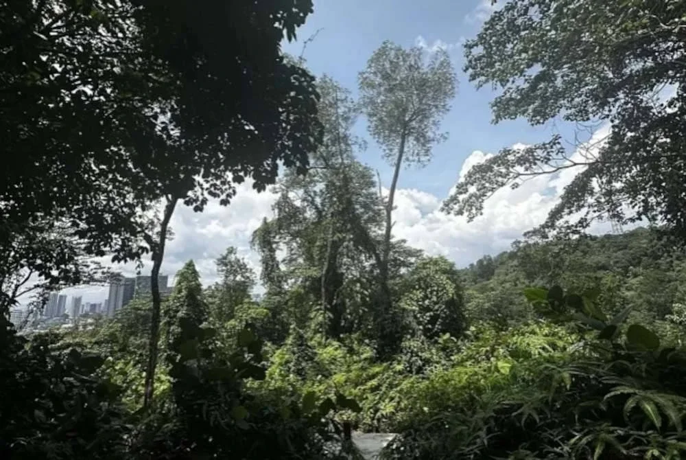Pemandangan Bukit Gasing Circular di Malaysia. Foto Pexels
