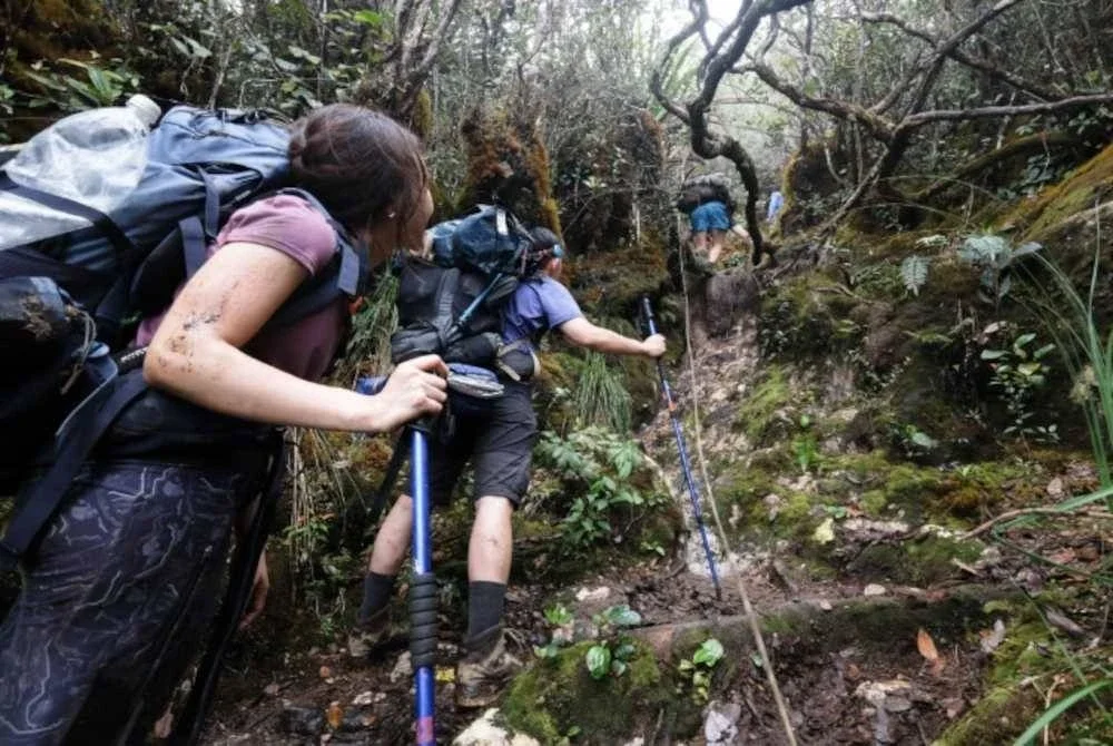 Laluan dinilai berdasarkan markah pengunjung, tahap populariti dan jumlah ulasan positif. Agensi 