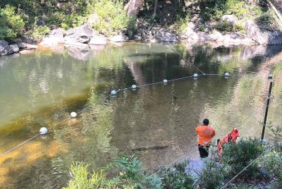 Kawasan santuari yang menjadi tarikan utama pelancong di Tasik Kenyir kini sunyi tanpa kelibat ikan kelah.