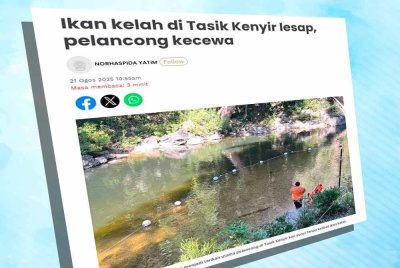 Laporan Sinar Harian pada Khamis mengenai ikan kelah di Tasik Kenyir dikatakan lesap.