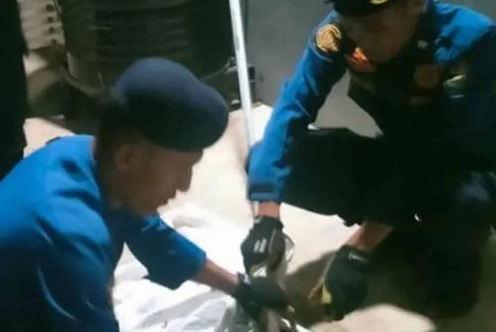 Seorang wanita di Jawa Tengah maut selepas dipatuk ular berbisa di rumahnya. Foto Agensi