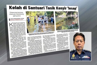 Laporan Sinar Harian berhubung dakwaan kehilangan ikan kelah di Santuari Kelah, Tasik Kenyir. Gambar kecil: Pang Nyukang