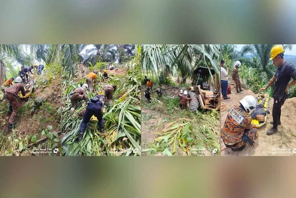Anggota bomba menggunakan tali dan pengusung untuk menaikkan mangsa selepas backhoe dipandu jatuh gaung di sebuah ladang kelapa sawit di Muadzam Shah pada Sabtu. Foto JBPM Pahang