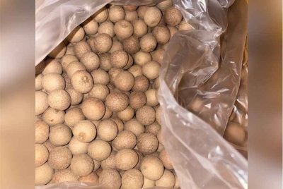 AKPS Bukit Kayu Hitam menyita 20,000 kilogram longan kering selepas didapati tidak mematuhi peraturan pelabelan. Foto AKPS