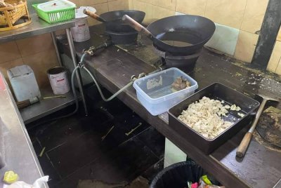 Operasi berkenaan melibatkan pemeriksaan terhadap 32 premis makanan dan hasilnya, tiga daripadanya dikenakan arahan penutupan.
