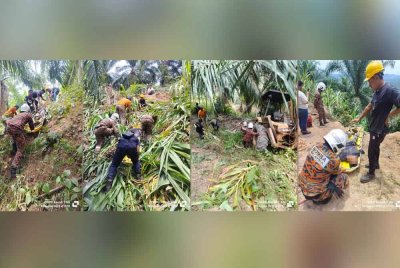 Anggota bomba menggunakan tali dan pengusung untuk menaikkan mangsa selepas backhoe dipandu jatuh gaung di sebuah ladang kelapa sawit di Muadzam Shah pada Sabtu. Foto JBPM Pahang