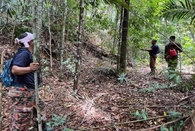 Seramai 12 anggota bomba bersama 24 anggota polis, empat anggota Angkatan Pertahanan Awam (APM) serta dua kakitangan Taman Negeri terlibat dalam operasi pencarian. Foto Bomba Perak