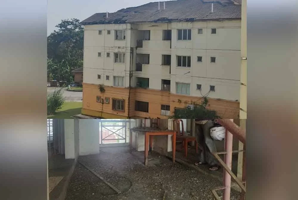 Keadaan bumbung reput dan diserang anai-anai di kuaters terbabit. Keadaan di tingkat lima yang dipenuhi dengan najis burung di kuaters berkenaan.