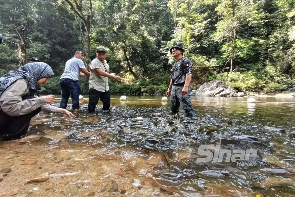Razali (kanan) meninjau kawasan Santuari Kelah, Tasik Kenyir yang didakwa menjadi sasaran aktiviti pukat haram sehingga menyebabkan populasi ikan kelah merosot. 