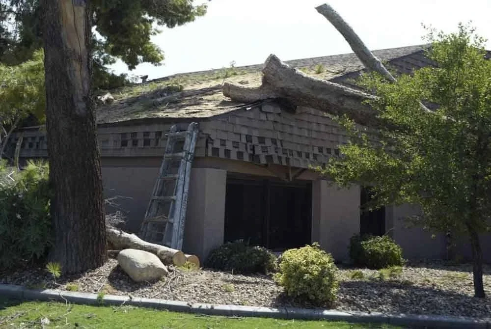 Ribut pasir itu turut menyebabkan banyak pokok tumbang menimpa kediaman penduduk. Foto Agensi