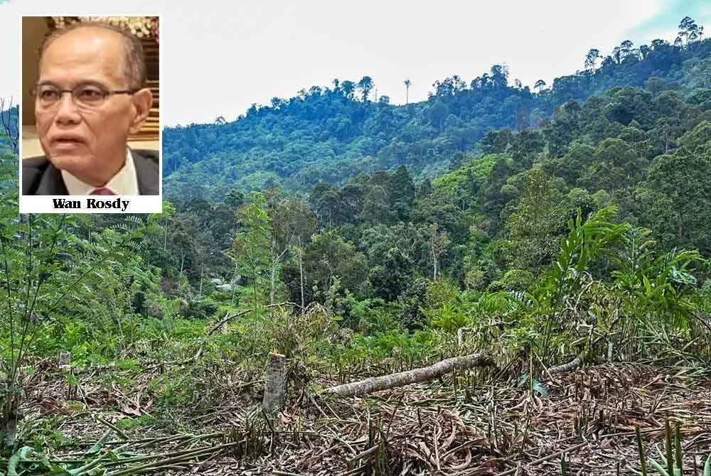 Lebih 104 hektar kawasan tanaman durian di HSK Gunung Benom, Raub telah ditebang. Foto: Pahang Media