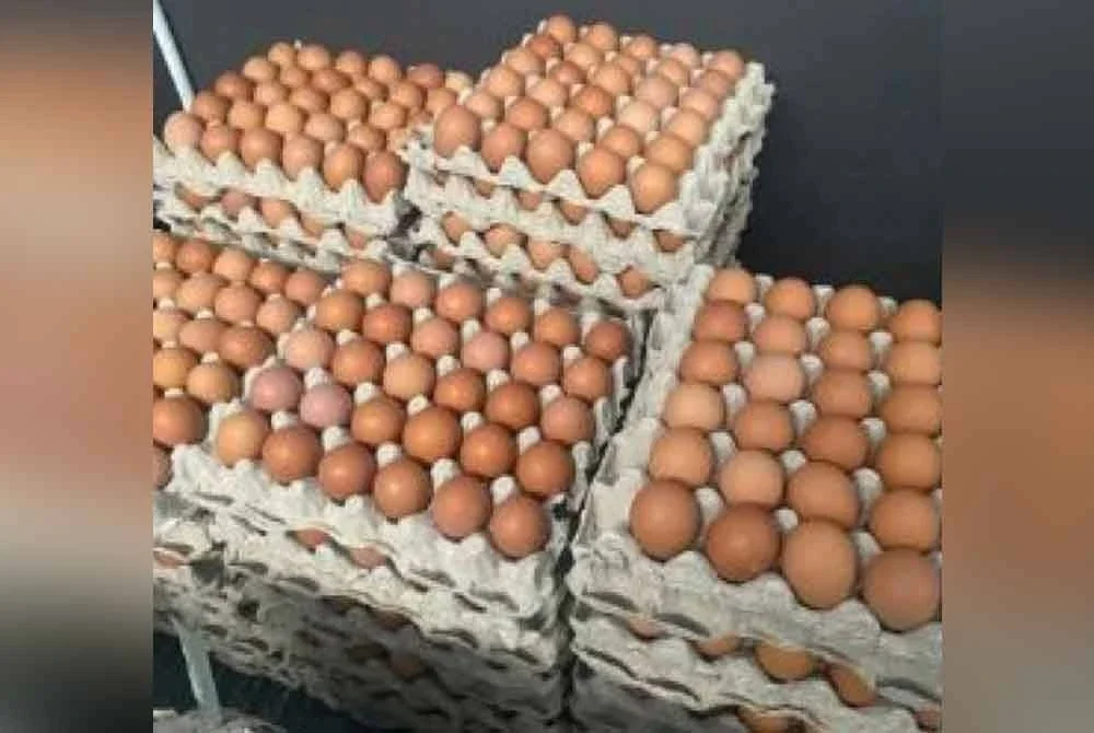 Tinjauan KPKM mendapati bekalan telur Gred A, B dan C masih stabil dan boleh dibeli di pasar raya. - Gambar hiasan