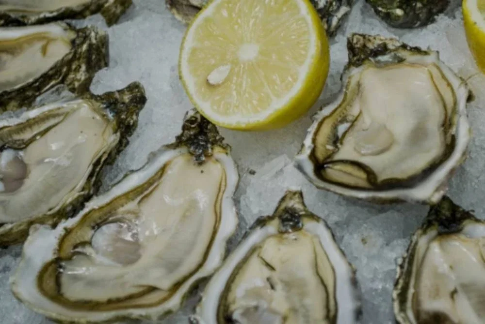 Tiram antara makanan laut yang paling berisiko tinggi membawa bakteria ini. Agensi