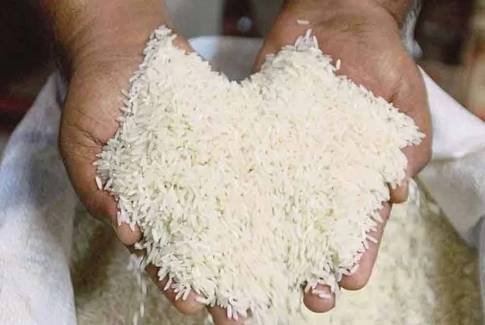 NACCOL gesa subsidi Beras Putih Tempatan (BPT) diteruskan demi kestabilan harga. Cadangan alternatif dikemuka jika subsidi dimansuh menjelang 2025. Foto hiasan