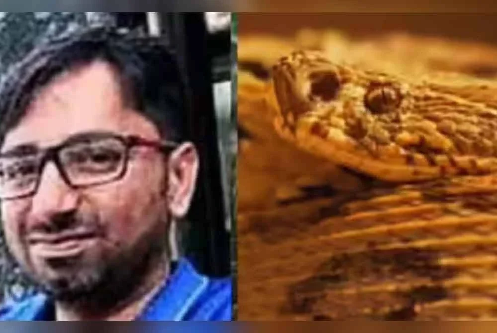 Manju Prakash maut dipatuk ular berbisa yang bersembunyi dalam kasut getah miliknya.