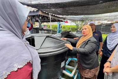 Rozita (kanan) meninjau pembiakan ikan talapia di Majlis Perasmian Projek Akuaponik Pintar Pertubuhan Pemulihan Dalam Komuniti Teluk Bahang pada Rabu.