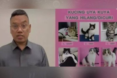 Uya Kuya melampirkan kucing-kucingnya yang hilang.-Agensi