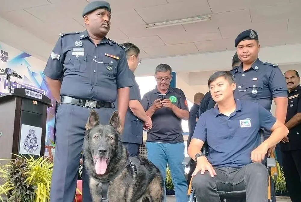 Goran diserahkan kepada Sheng Wey sebagai pemilik baharu.