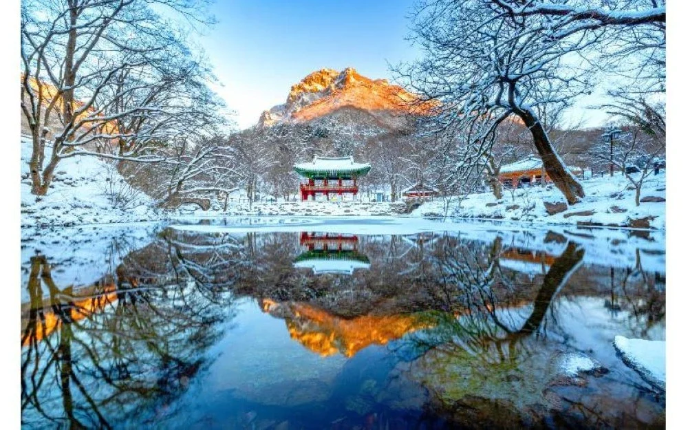 Pavilion Ssanggyeru di Kuil Baegyangsa – Dikelilingi salji dan pohon pinus yang menenangkan.