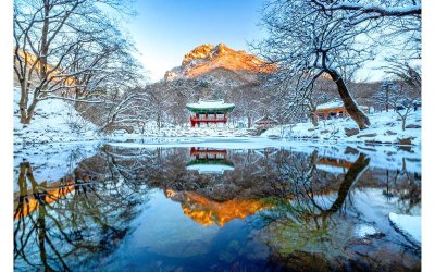 Pavilion Ssanggyeru di Kuil Baegyangsa – Dikelilingi salji dan pohon pinus yang menenangkan.