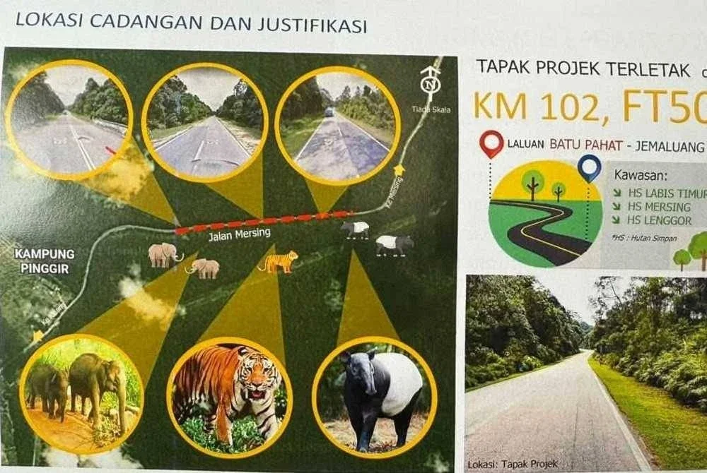 Laluan lintasan hidupan liar pertama di Johor bakal dibina di jalan utama FT50 yang menghubungkan Kahang ke Mersing.