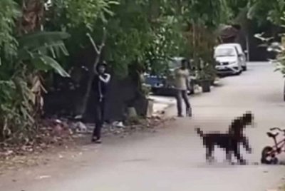 Rakaman yang tular di media sosial memaparkan kanak-kanak terbabit bergelut dengan anjing itu sebelum berjaya melarikan diri.