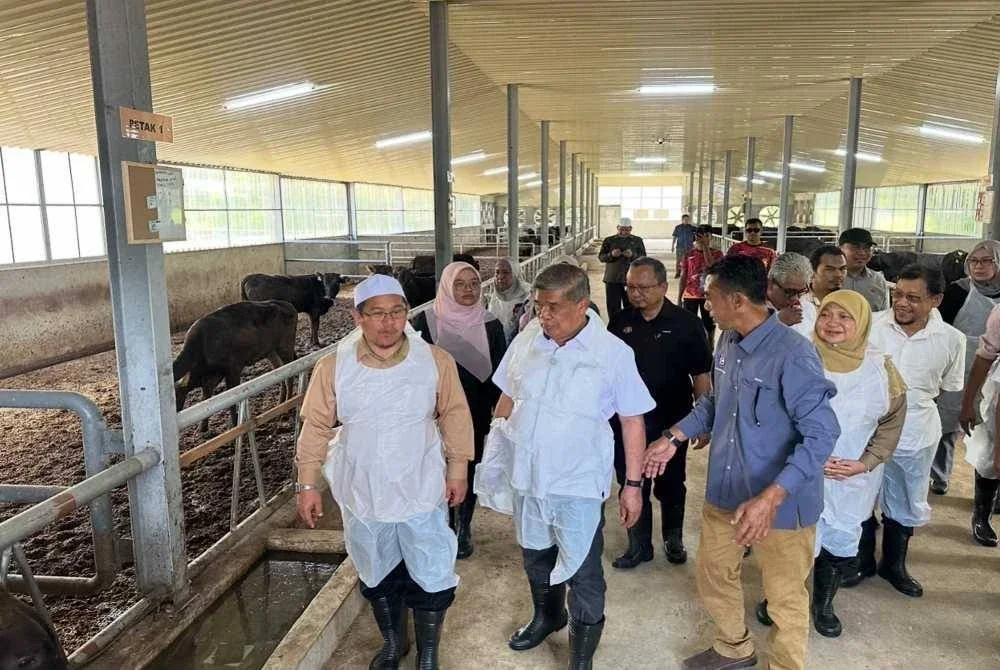 Mohamad (depan, dua dari kiri) ketika melawat ke Kandang Ternakan Lembu Wagyu Kelfarm di Seribong, Kota Bharu pada Ahad.
FOTO SINAR HARIAN - ADILA SHARINNI WAHID