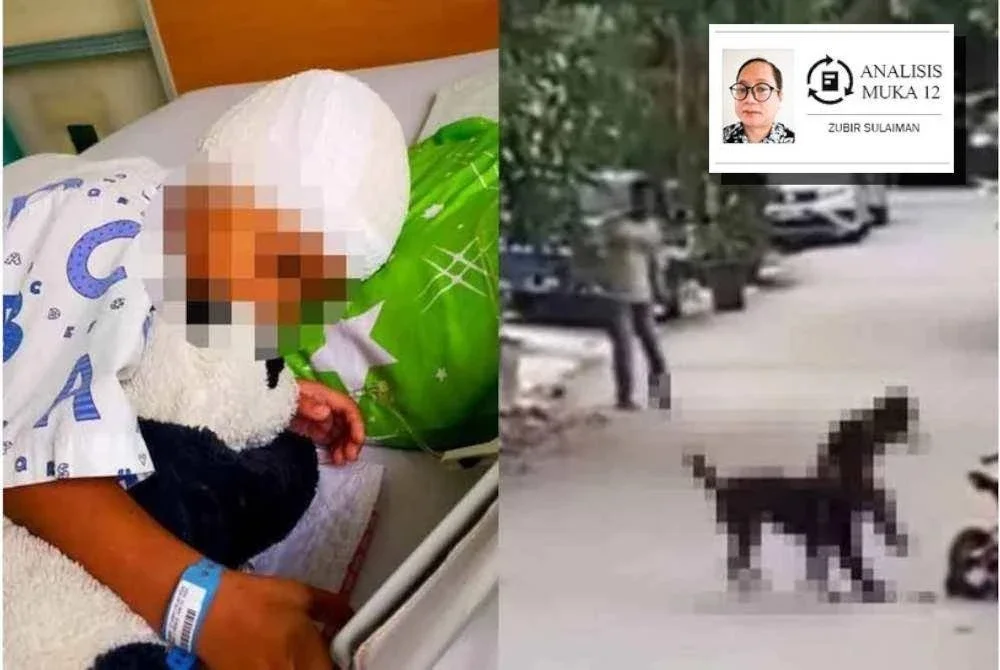 Seorang kanak-kanak lelaki berusia enam tahun cedera diserang anjing liar di Cheras.