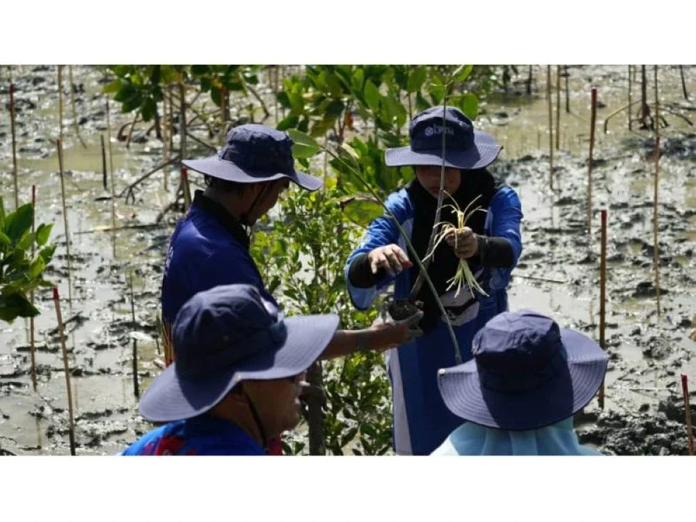 Selain aktiviti kemasyrakatan, warga UPTM turut melakukan tanggungjawab sosial korporat dengan menanam pokok bakau untuk mengharmonikan alam sekitar.