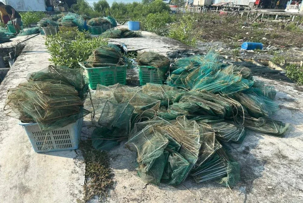 Operasi bersepadu menggempur jeti nelayan di sekitar Sabak Bernam dengan rampasan peralatan menangkap ikan haram. Foto DOF SELANGOR