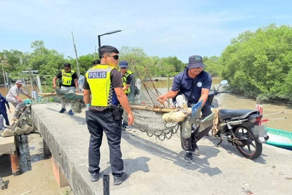 Operasi bersepadu menggempur jeti nelayan di sekitar Sabak Bernam dengan rampasan peralatan menangkap ikan haram. Foto DOF SELANGOR