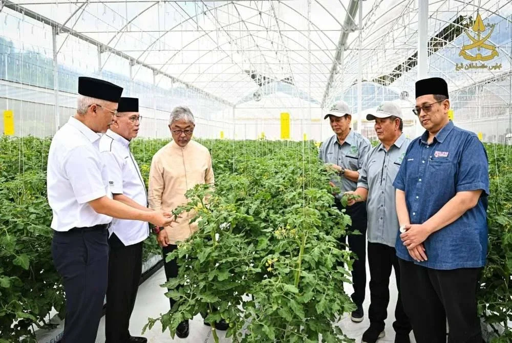 Sultan Pahang Al-Sultan Abdullah titah agar pengusaha pertanian di Cameron Highlands mengutamakan amalan berteraskan ESG bagi memastikan hasil mereka kekal diterima di pasaran antarabangsa. Foto FB Kesultanan Pahang