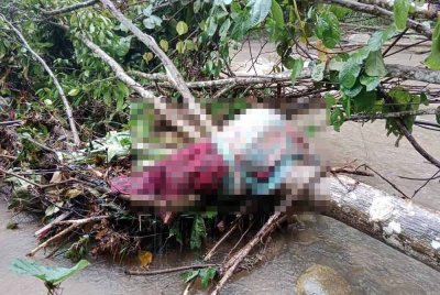 Hasil pemeriksaan mengesahkan bungkusan berkenaan mengandungi mayat manusia, namun identiti mangsa masih belum dapat dipastikan. Foto: IPD Ipoh