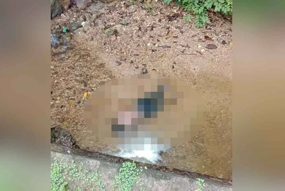 Mayat seorang lelaki yang belum dikenal pasti identitinya ditemui dalam keadaan tertiarap di anak sungai kawasan Air Rengat, Temengor pada Sabtu. Foto pembaca