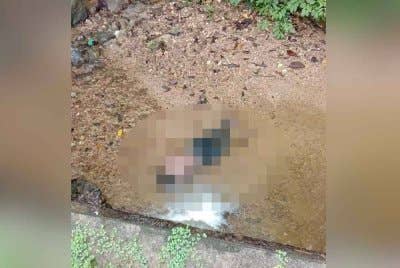 Mayat seorang lelaki yang belum dikenal pasti identitinya ditemui dalam keadaan tertiarap di anak sungai kawasan Air Rengat, Temengor pada Sabtu. Foto pembaca