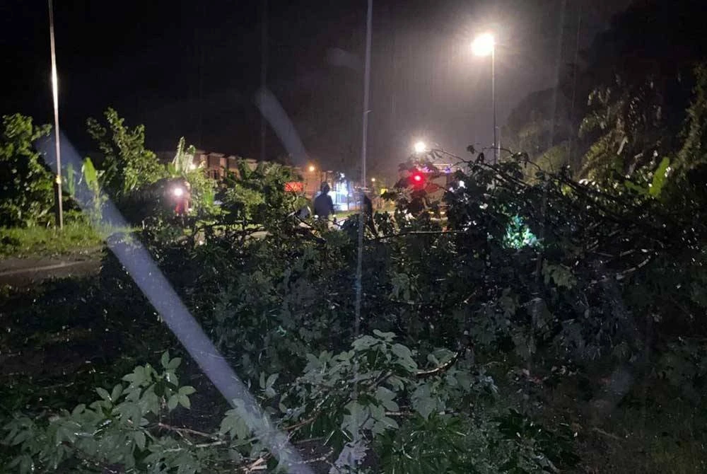 Kejadian pokok tumbang dilaporkan jam 5.40 pagi melibatkan sebuah kenderaan jenis Proton Persona. Foto: Bomba Perak