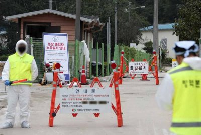 Pasukan kuarantin memperkukuh kerja-kerja pembasmian kuman di sekitar kawasan yang terjejas - Foto: Agensi