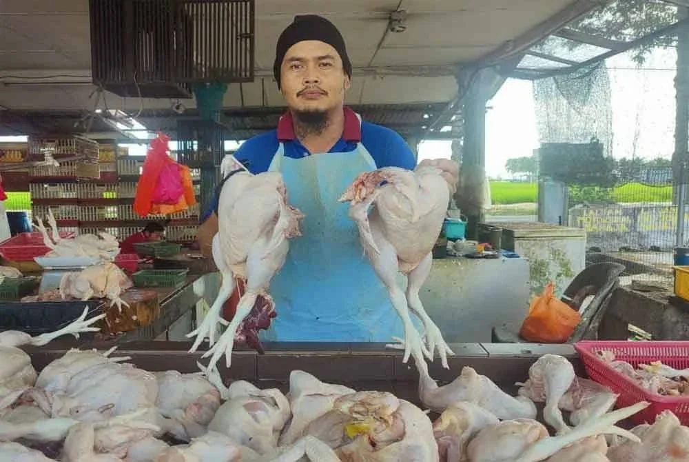 Mohd Hisham menunjukkan ayam yang dijualnya di Pasar Awam Sekinchan.