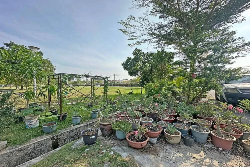 Tanah lapang di hadapan rumah tiga sahabat yang dahulu sunyi kini riuh dengan gelak tawa dan kicauan burung setiap pagi.