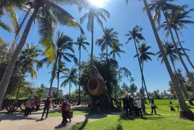 Di Kampung Agong terdapat sarang burung tempua, burung wak wak dan burung helang yang dibuat dari sarang burung asli untuk para pengunjung bergambar.
