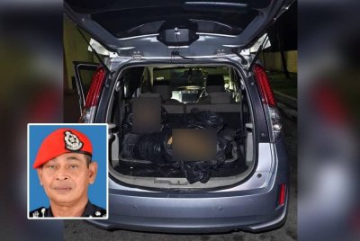 Penemuan bangkai harimau belang dipercayai diburu secara haram di dalam kereta Perodua Alza. Foto kecil: Rosli.